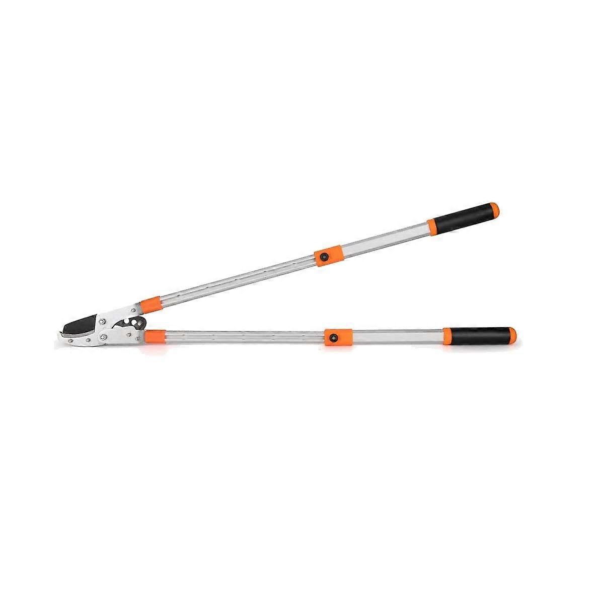 Pruning Shears, Hedges and Branches in the Garden with Telescopic Handles, 29 Times Extended Spacer, 6 cm