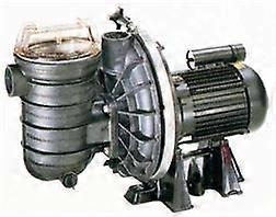 Certikin 2HP (1.5kW) Sta-Rite, 3 Phase - 2" suction & delivery