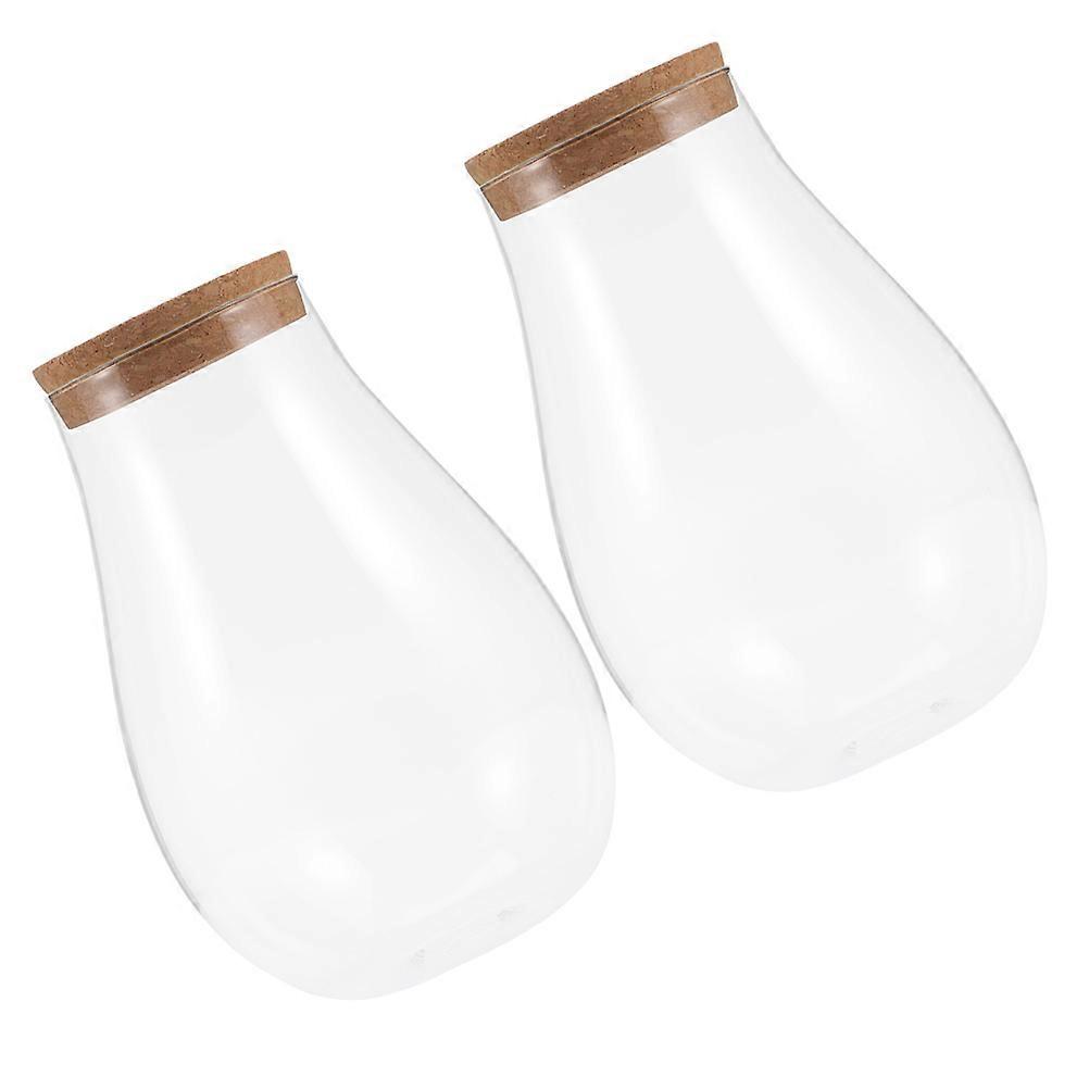 Small Terrarium Micro Landscape Bottle Indoor Plants 2Pcs