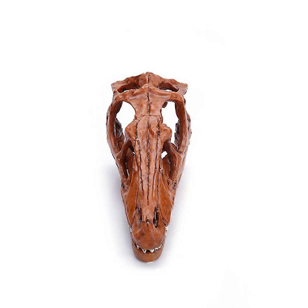 Simulation Dinosaur Resin Dinosaur Head Skull Statue for Decoration 2Pcs