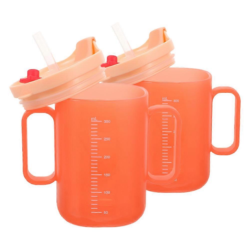 Absorbent Straw Water Cup for Drinking Use 2Pcs Toddler Learning Drinking Cup