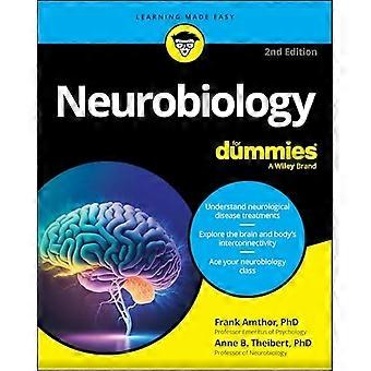 Neurobiologie voor Dummies