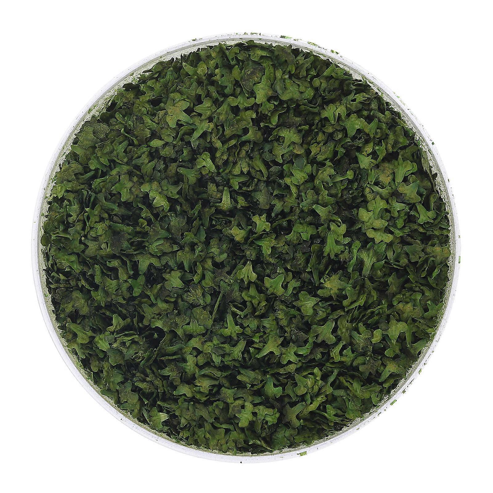 DIY Micro Landscape Materials Resin Simulation Leaf Model for 1 Box