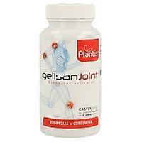 Gelisan Joint 60 capsules