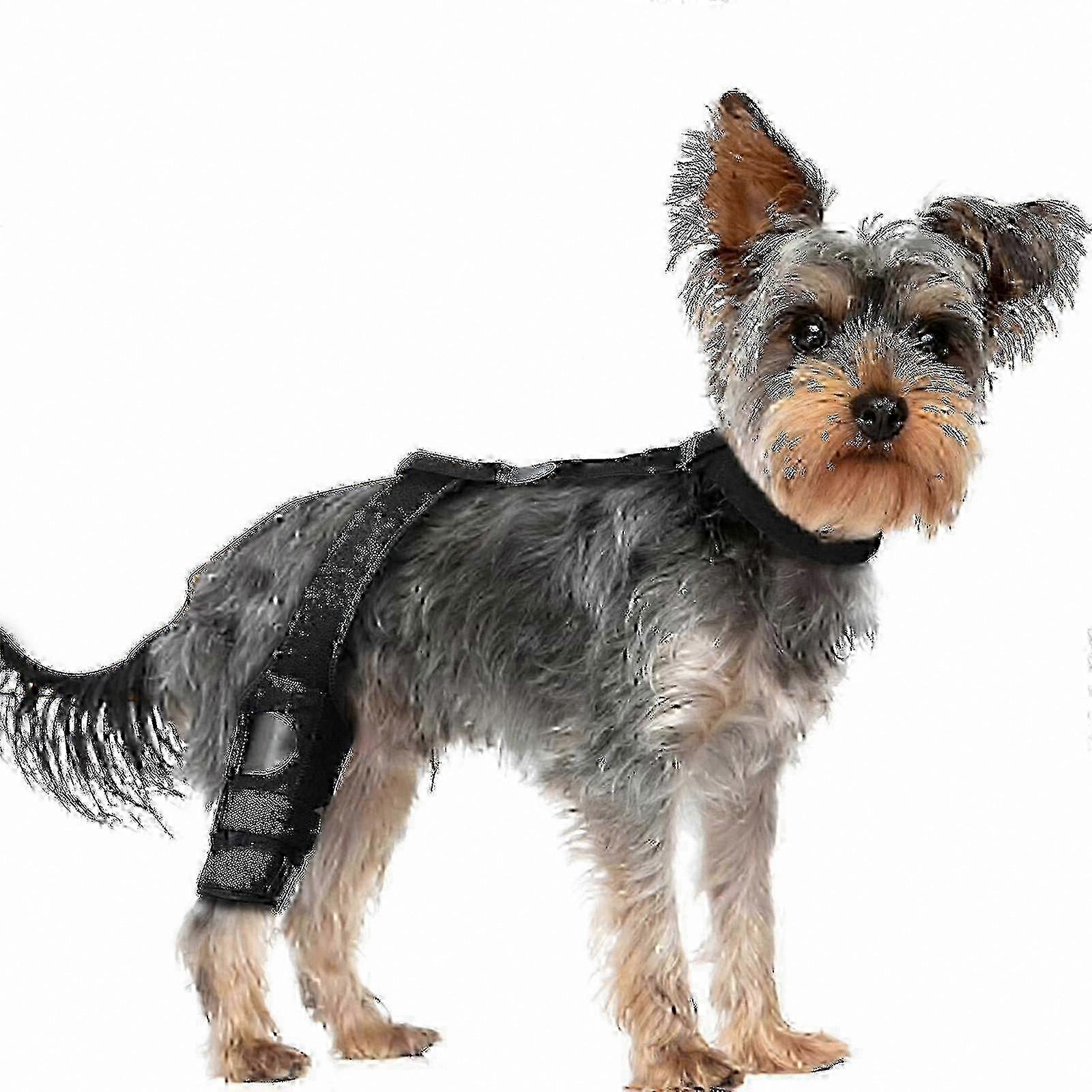 Hind Leg Knee Brace for ACL Support
