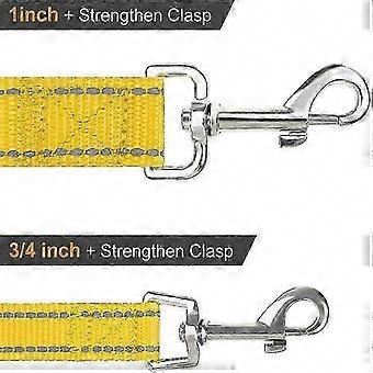 Dog Leash with Double-Sided Reflective Nylon and Padded Handle