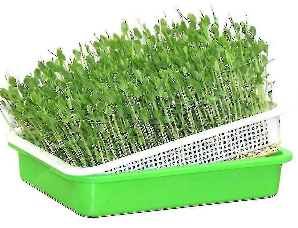 2 Pakkaus Sprouter Tray BPA PP Vähemmän pavun versonviljelijän lings