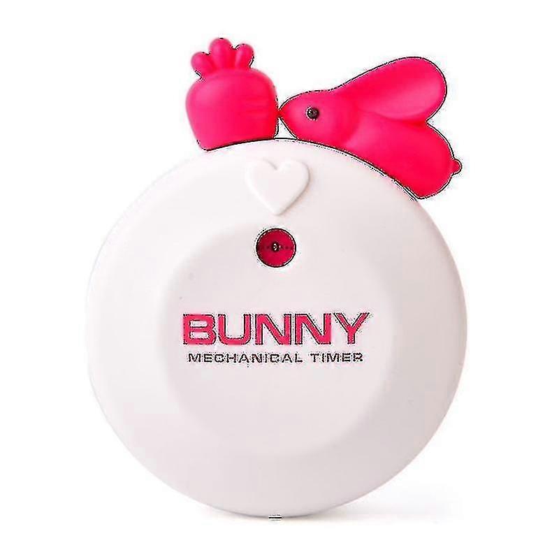 Kitchen Timer Count Down Alarm Kitchen Manual Alarm Counters Cooking Timer White- Aespa