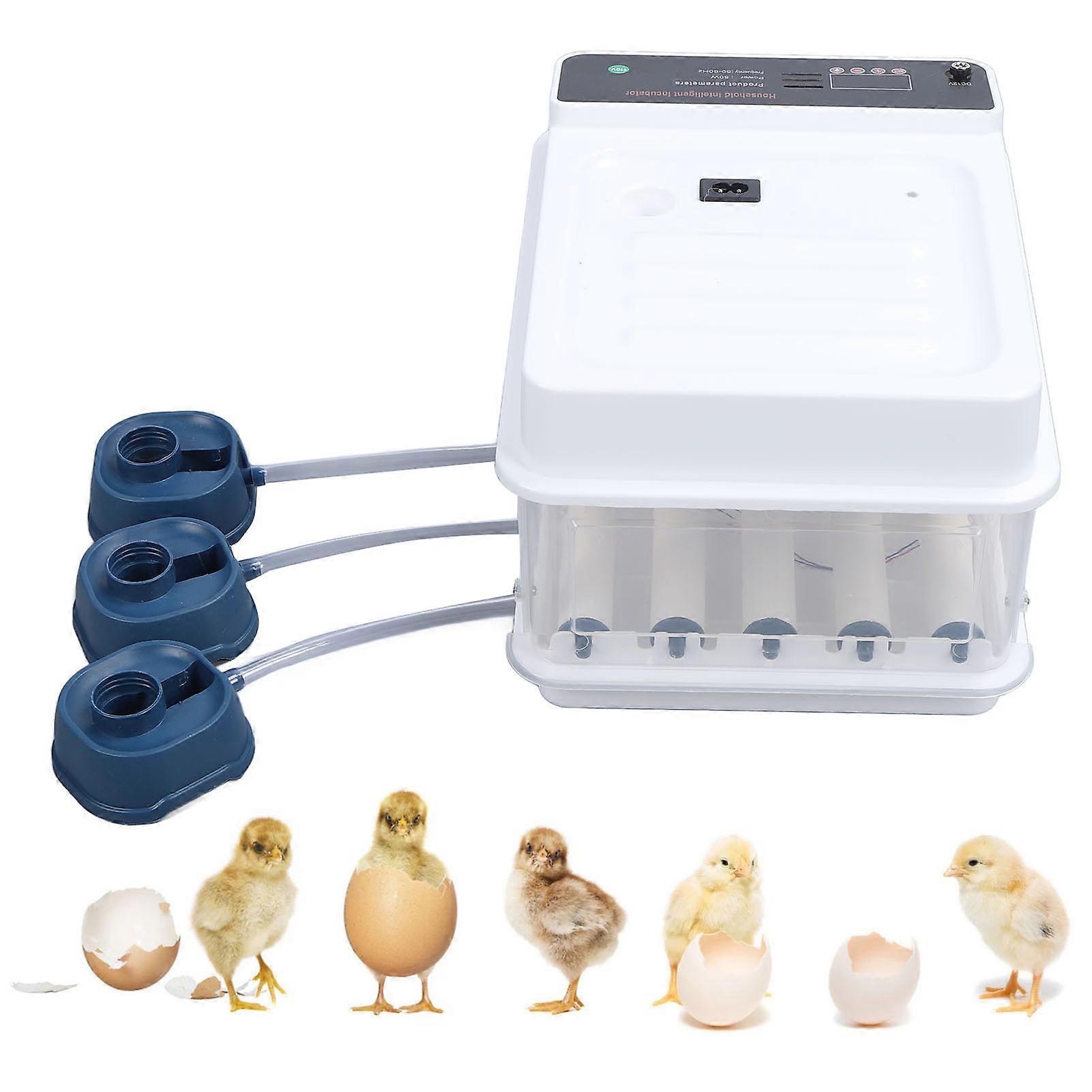 10/12pcs Egg Incubator Adjustable Automatic LED Light Double Power Supply Small Incubation Simulator for Chicken White EU Plug 220V