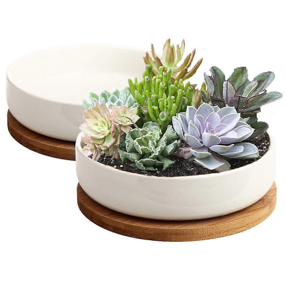 2 - Pack 6 - inch White Ceramic Succulent Pots with Bamboo Tray (Plants Not Included)