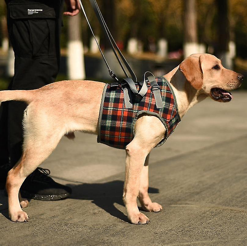 Dog Support Harness For Front Legs, Straps For Old,  Paralysis Dogs