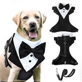 Dog Harness and Leash Set Size XL, Fits Large Dogs