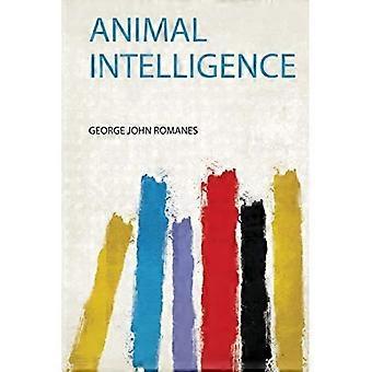 Animal intelligens