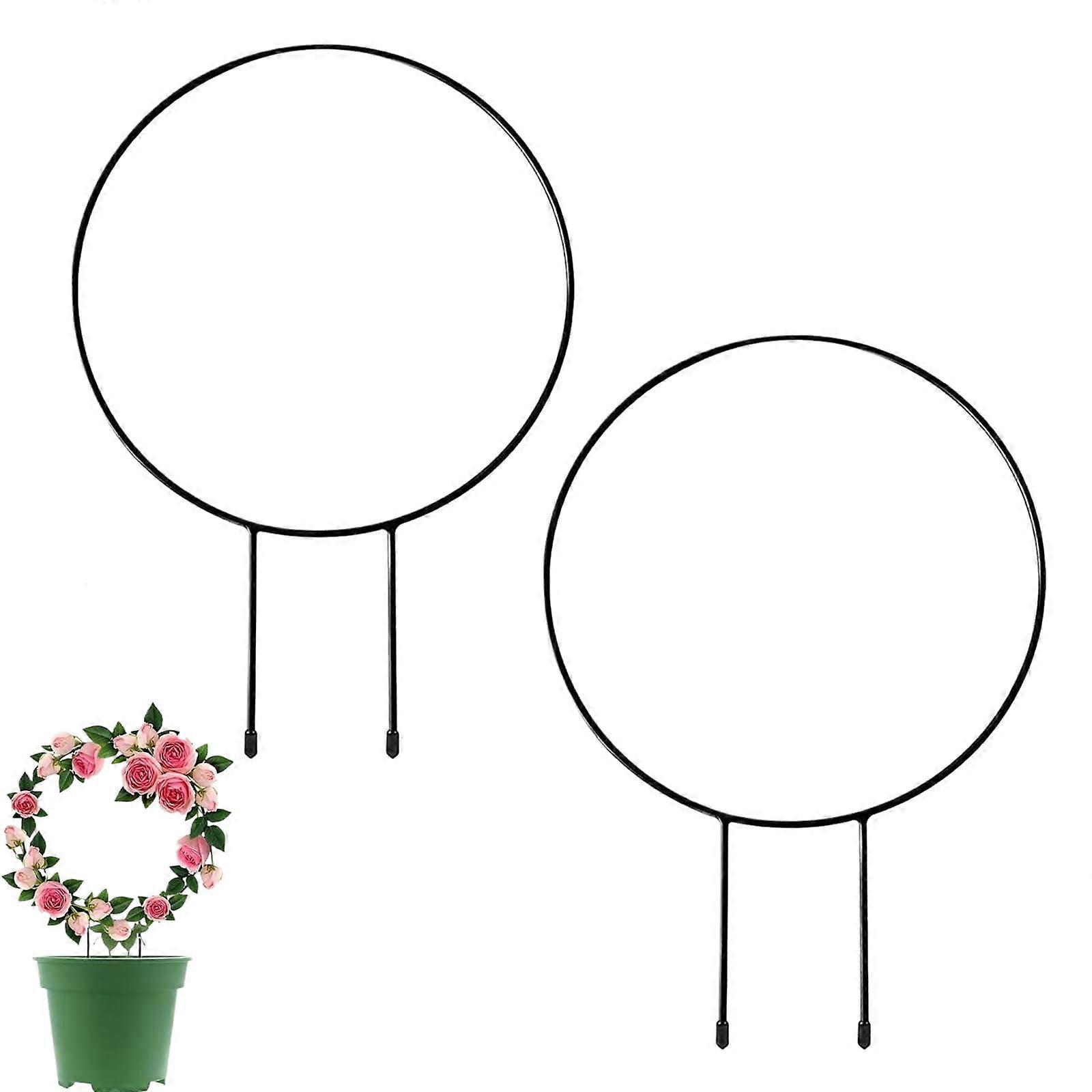 Trellis Indoor Plants - Set of 2 Metal Garden Climbing Aids for Indoor and Balcony Use, Plant Grid for Support