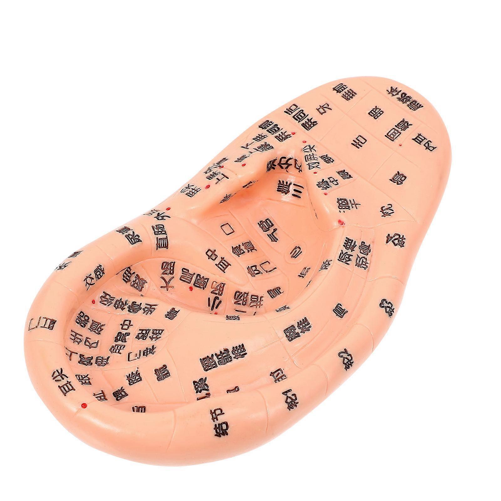 Human Ear Acupuncture Model for Home Use Made of PVC Material Clear Writing No Fading 1 Pc