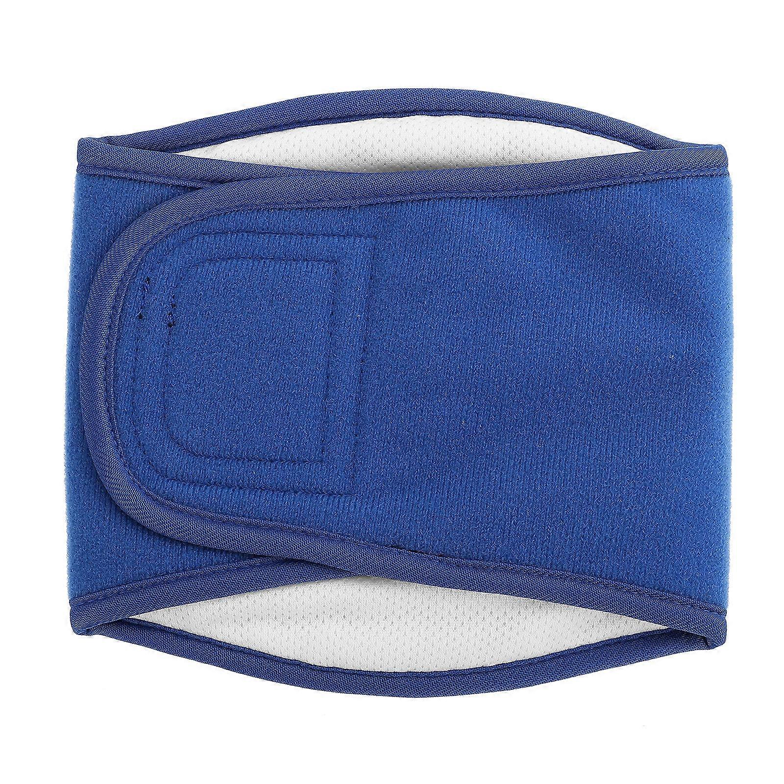 Washable Reusable Dog Diaper Belly Band for Puppies – Water Absorbent Breathable Pet Supply for Incontinence Training Comfortable Convenient Design