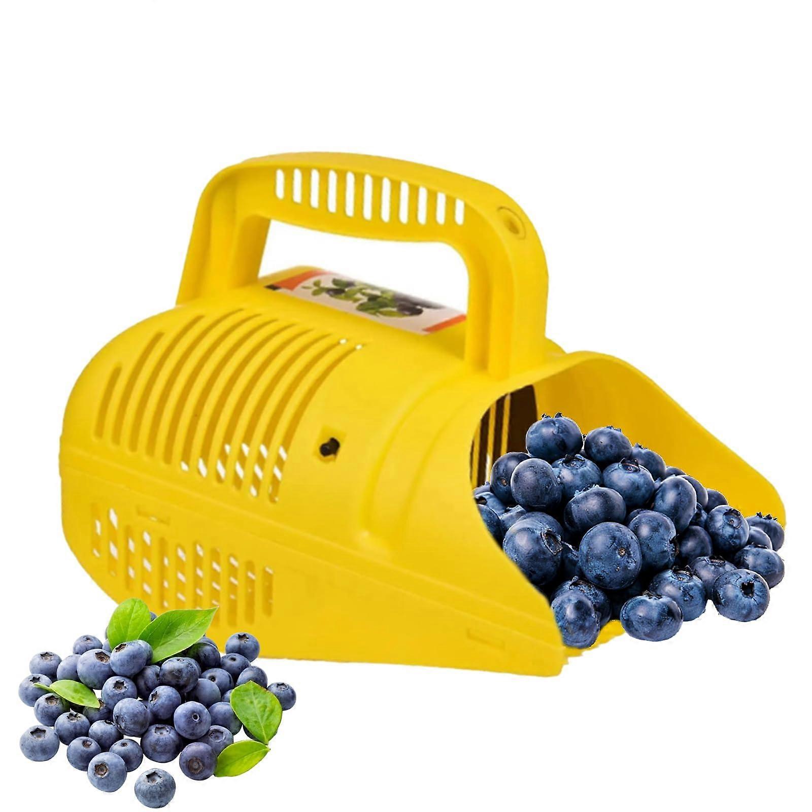 Berry Picking, Blueberry Picker, Berry Picker Tools, Berry Picker for Outdoor Use, Berry Comb, Berry Picker Comb, Handy Fruit Picker 1pcs