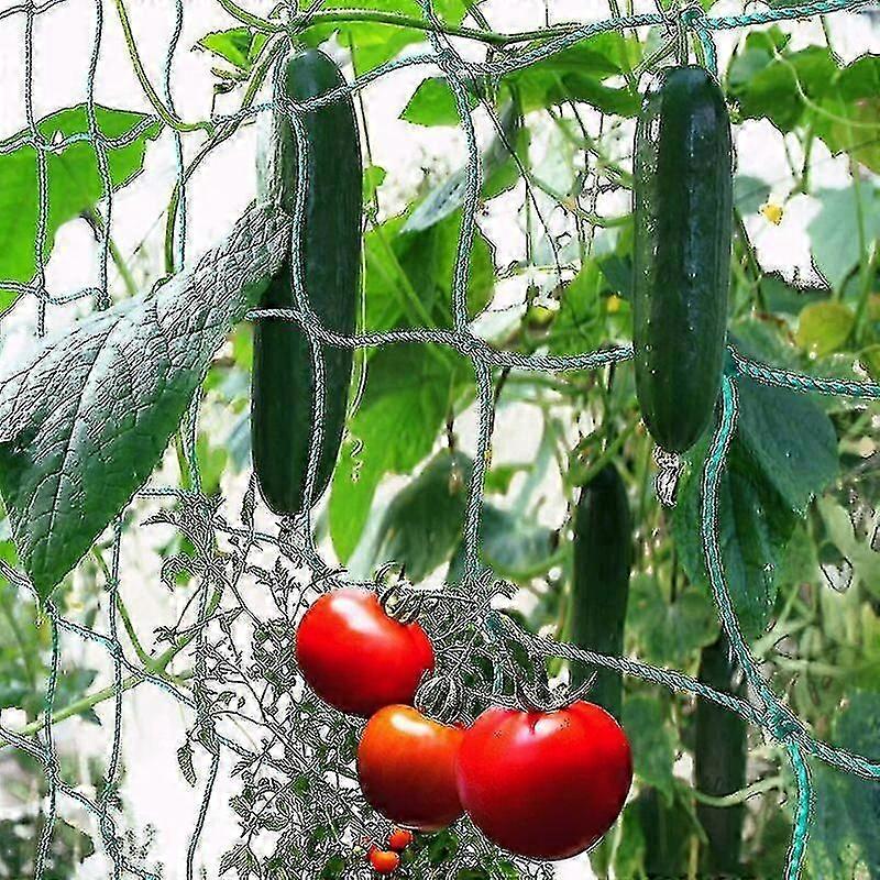 Trellnwilarmesif Extra High Yield Harvested Cucumbers - Dimensions: 1.8x1.8m