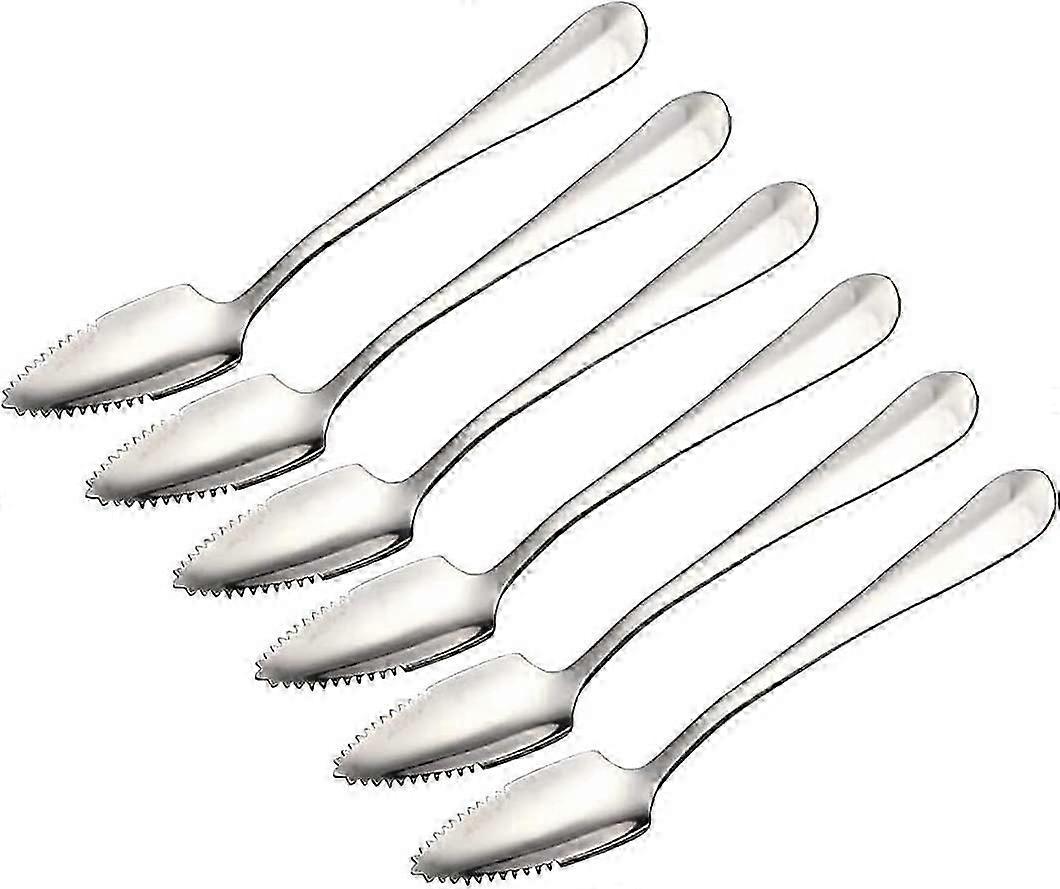 Stainless Steel Grapefruit Spoons - Jagged Edge Set of 6