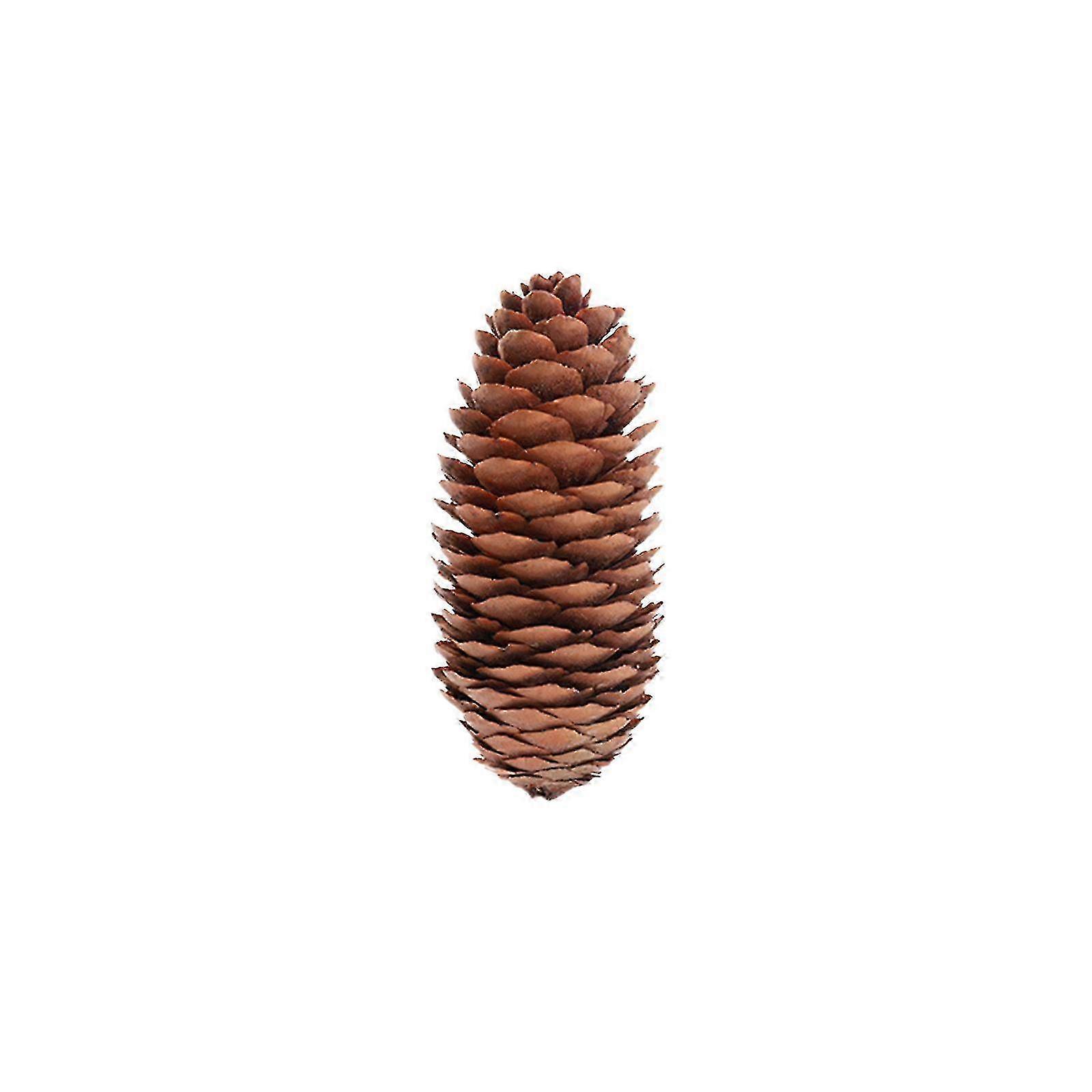 Christmas Hanging Decoration: Colorful Natives Pines Cones Tree Hanging Props & Wreath for Festive Holidays