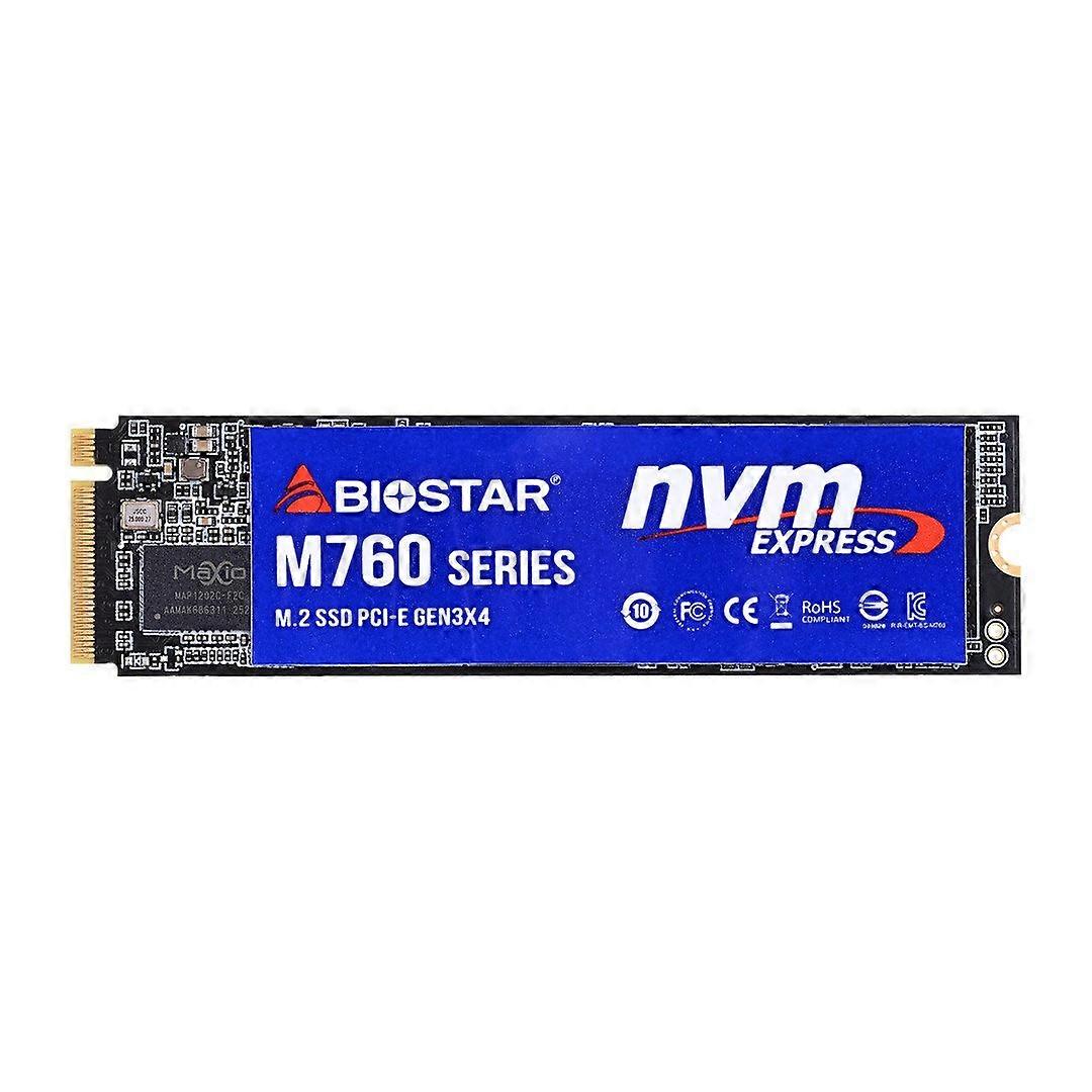 SSD disk Biostar M760 256 GB