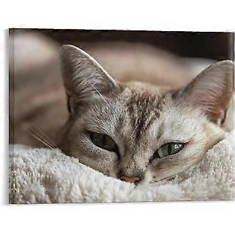 Cat Animal Sleeping Jigsaw Puzzle VV649