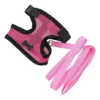 Chicken Harness Hen Vest Suitable for Animals with One Leash-ah