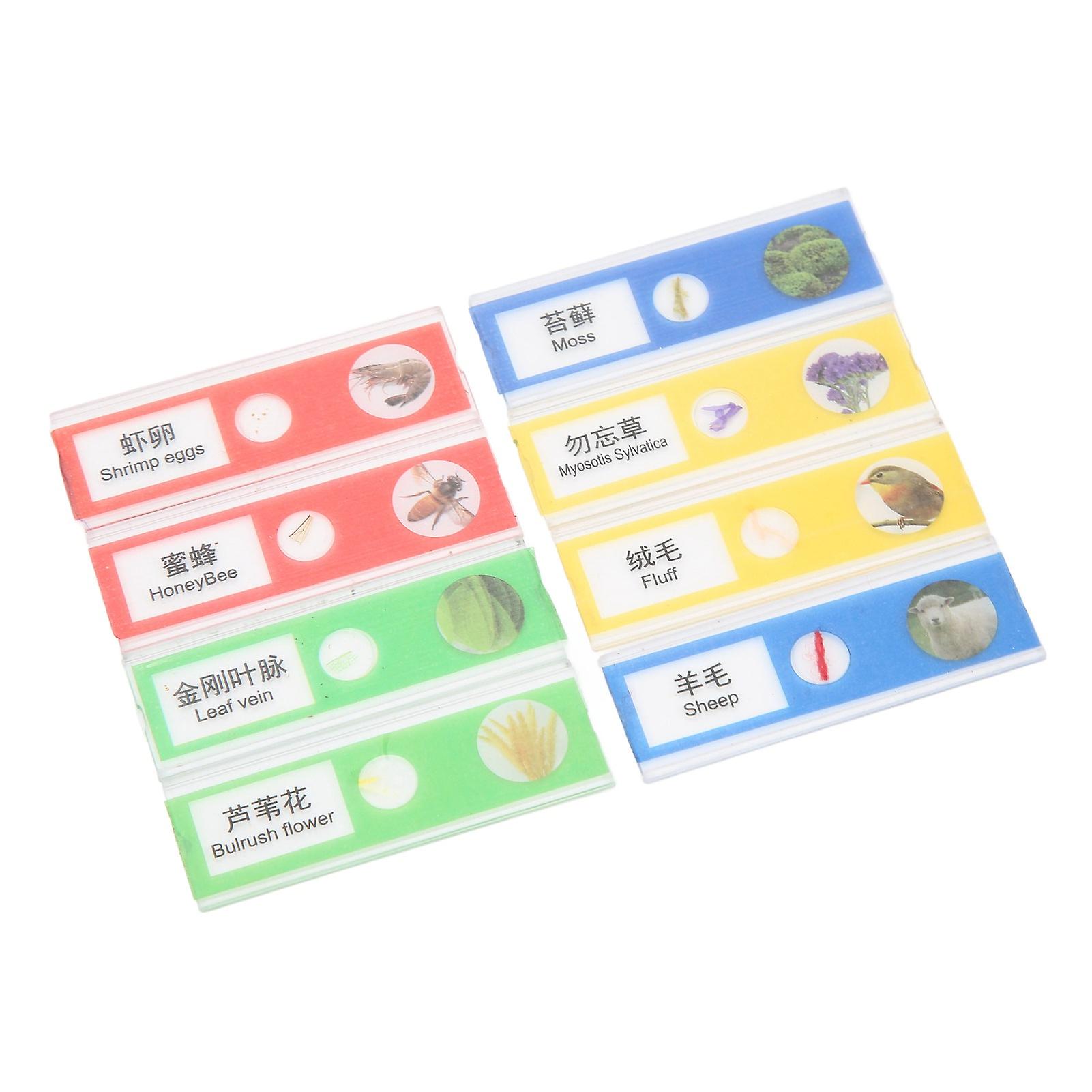 8Pcs Kids Microscope Specimen Slides Insects Plants Educational Prepared Microscope Slides for Home School