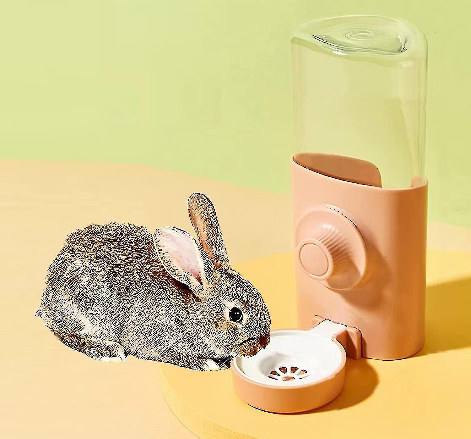 Rabbit Water Bottle, 600ml Hanging Automatic Water Dispenser By Gravity Flow For Bunny Chinchilla Guinea Ferrets-yuyu