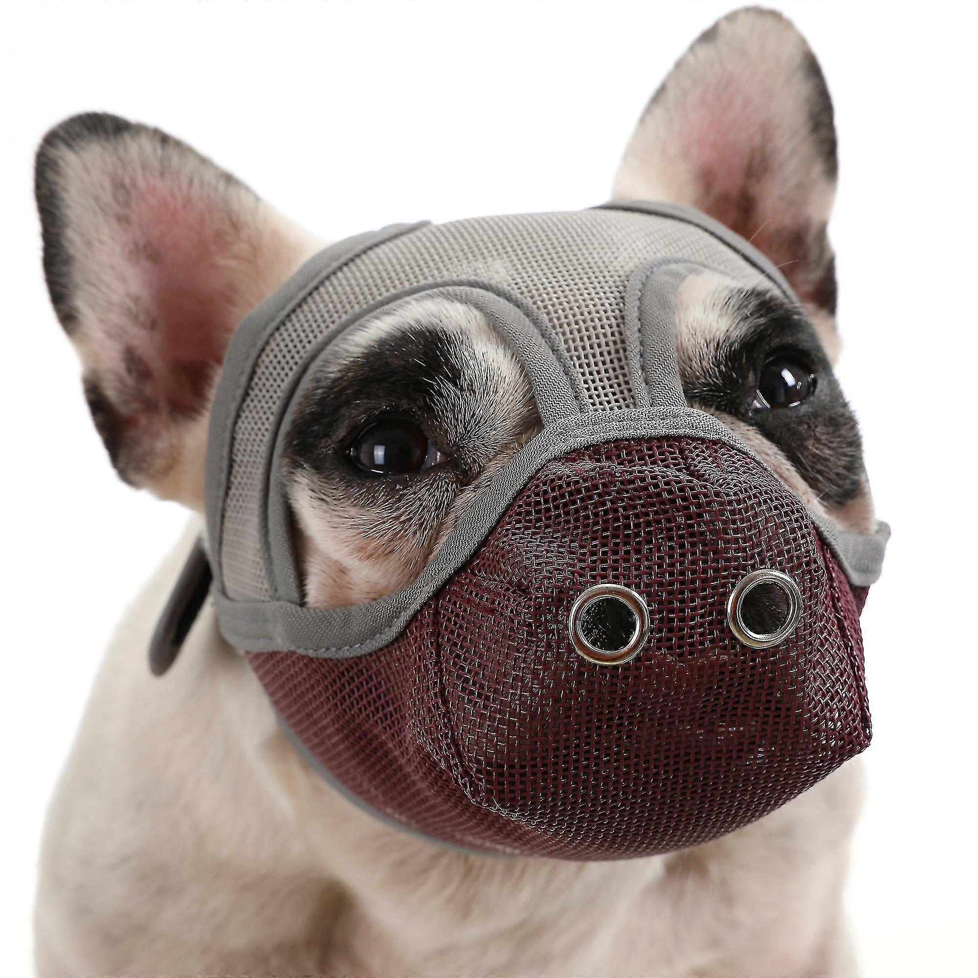 1 Dog Muzzle Grey Burgundy Medium