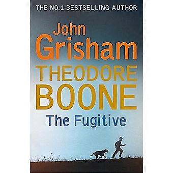 Theodore Boone The Fugitive Theodore Boone 5