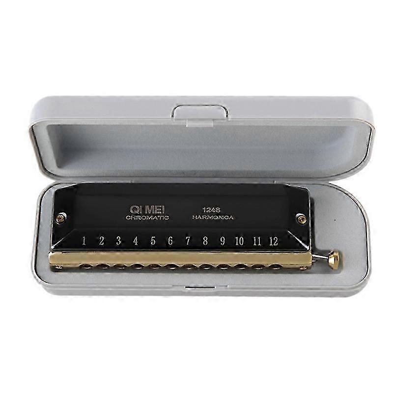 Chromatic Harmonica 12 Hole 48 Tone Mouth Organ Instrumentos Key of C Professional Musical Instrum