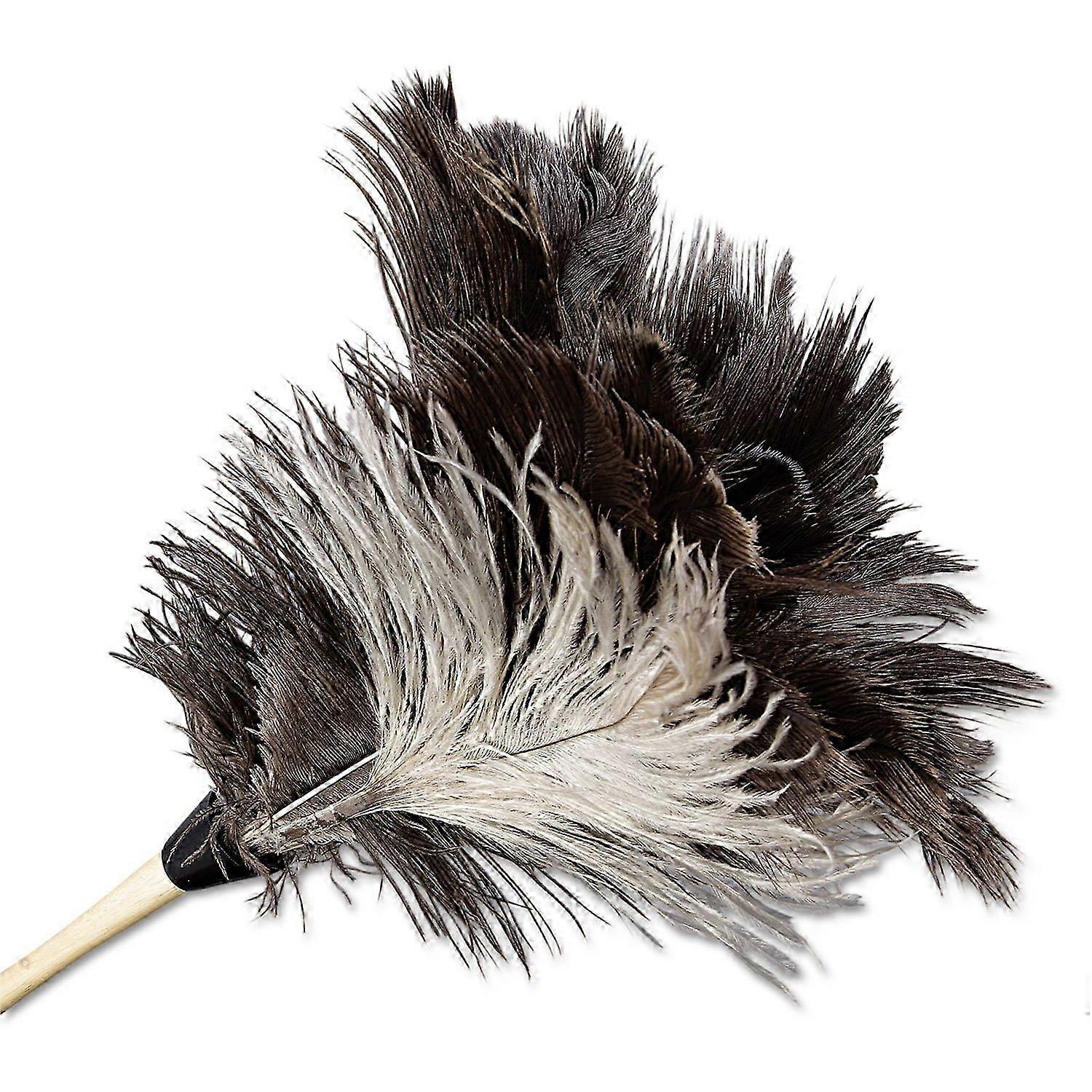 7' Handle Professional Ostrich Feather Duster 2025