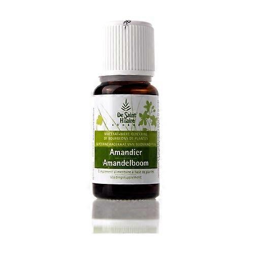 Organic Macerat Almond 30 ml