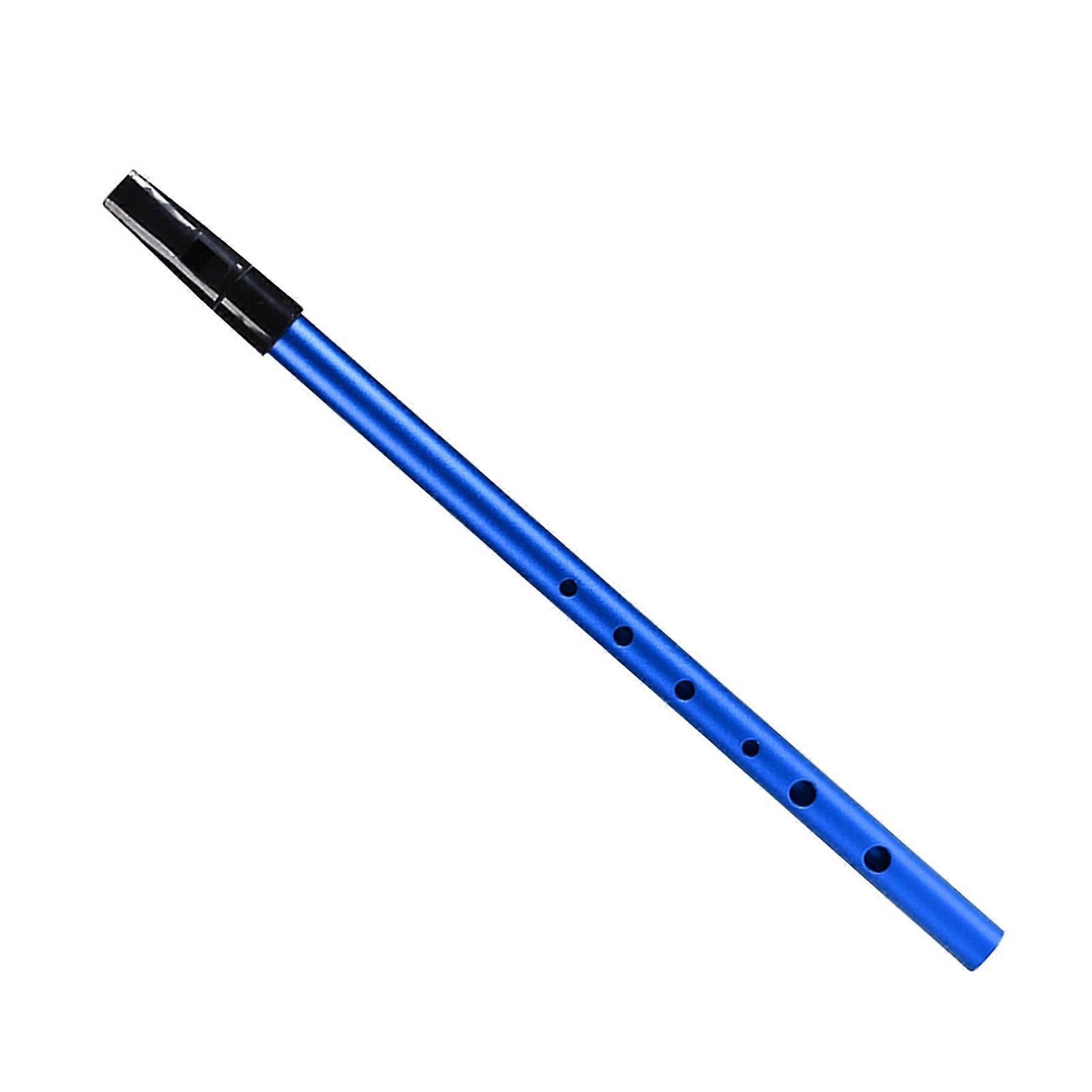 Irish Whistle C Key 6-hole Key of C 6 Holes Flute Penny Whistle Tin Whistle Wind Musical Instruments for Student Beginners Intermediates Experts K