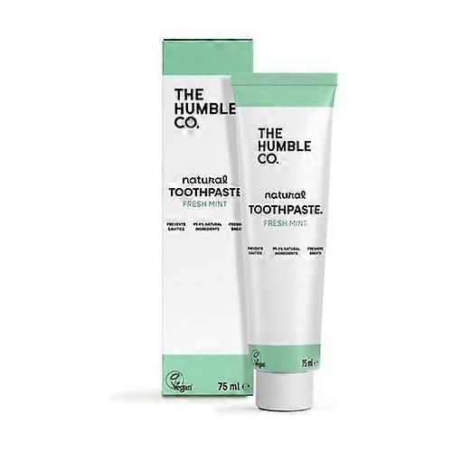 Fresh mint toothpaste 75 ml (Mint)