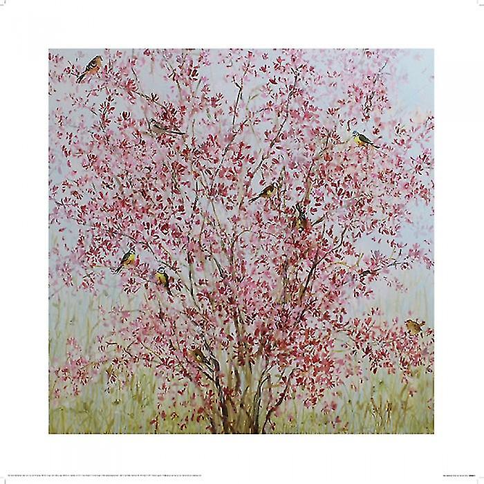 Fletcher Prentice Early Blossom Poster