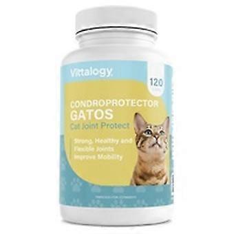Chondroprotector for cats 120 capsules of 722mg