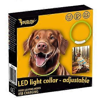 LED light collar - adjustable Purlov 24200