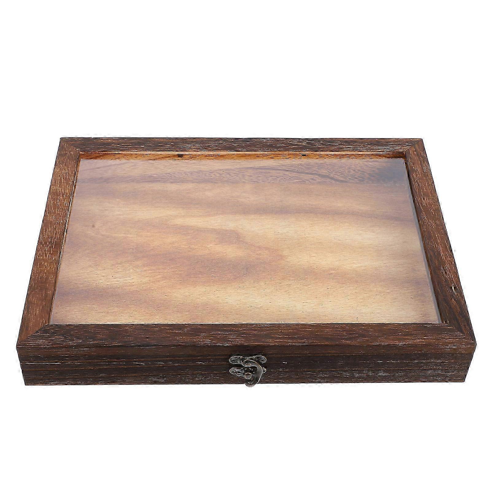Insect Specimen Display Case Dustproof Specimen Case Butterflies Storage Box