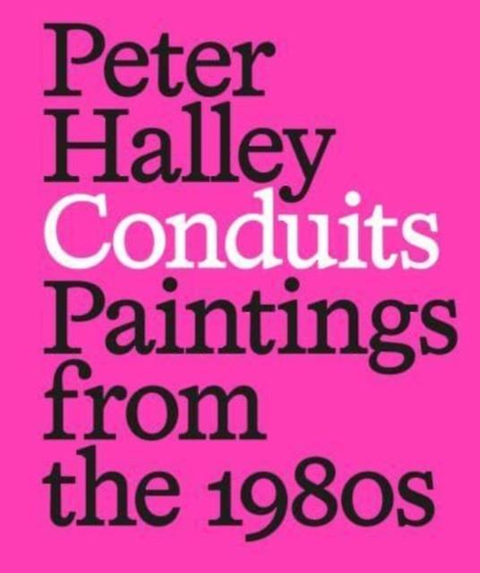 Peter Halley Conduits Paintings From The 1980s Paperback Book