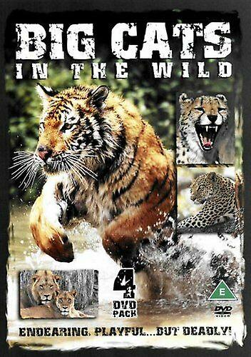 Big Cats in the Wild DVD (2005) cert E - Region 2