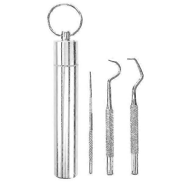 1 Set Stainless Steel Toothpicks Portable Tooth Hooks Teeth Clean Tools