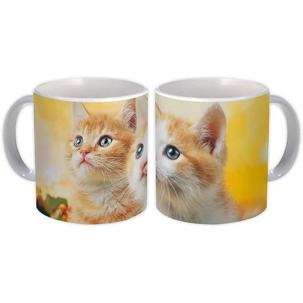 Hediye Kupa: Kedi Hayvan
