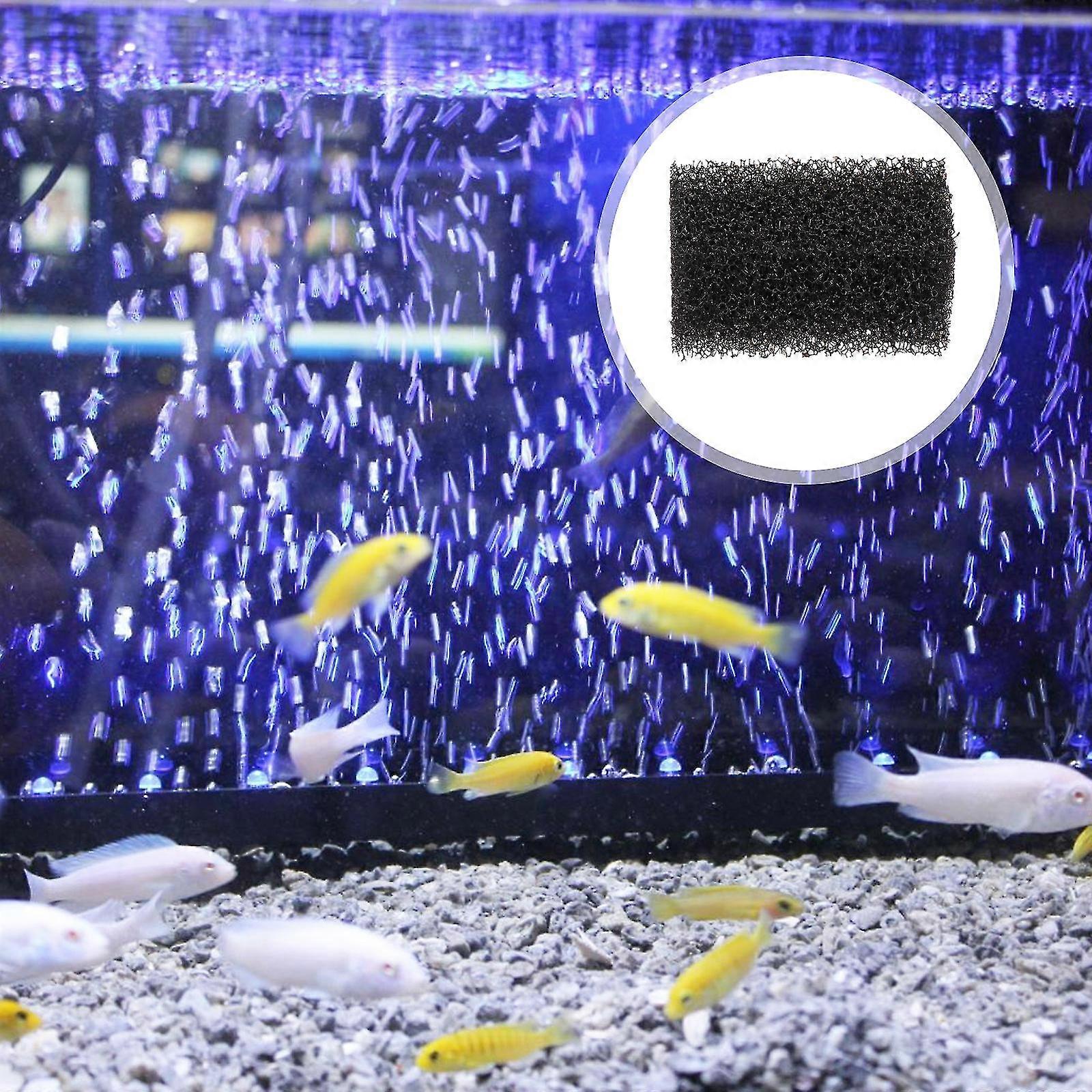 Kit De 10 Mops De Frai Pour Aquarium – Avec Anneaux En Mousse Flottants – Pour Poissons, Crevettes, Escargots, Amphibiens
