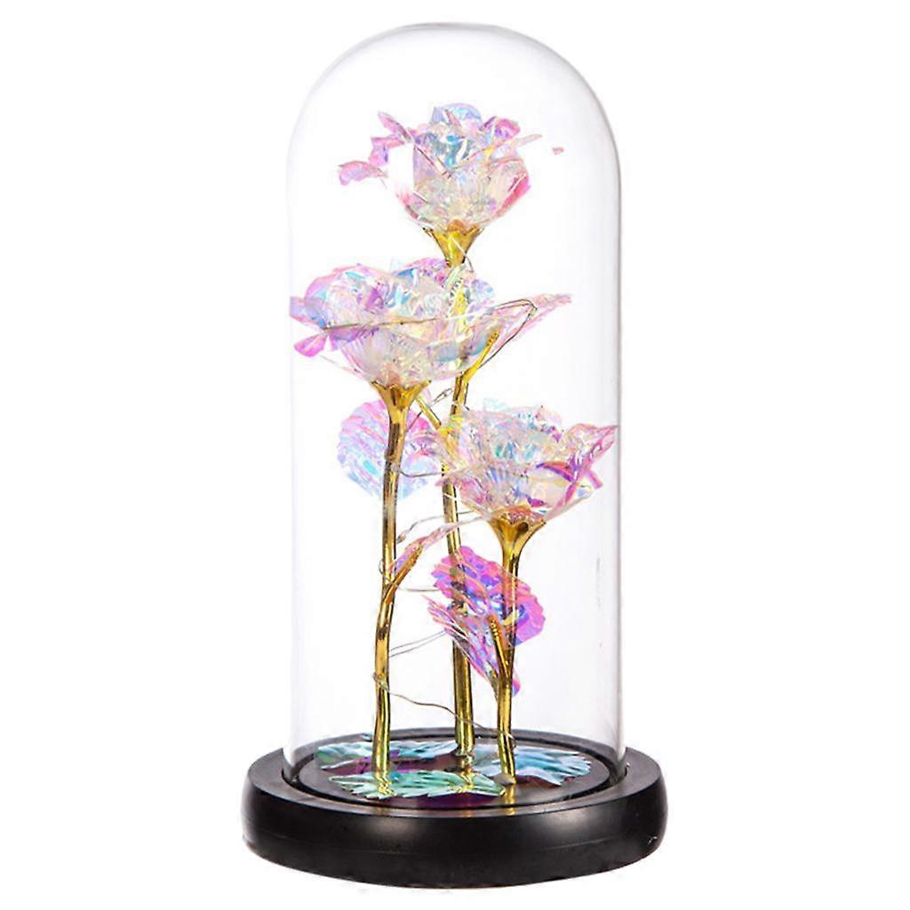 rose globe dome Black Warm Lights