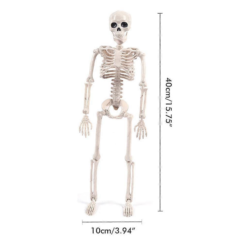 2 Pack Halloween σκελετός 16 ιντσών νύφη και γαμπρός ρεαλιστικός σκελετός πλήρους σώματος με κινητές αρθρώσεις για το Halloween Spooky Party Decoration