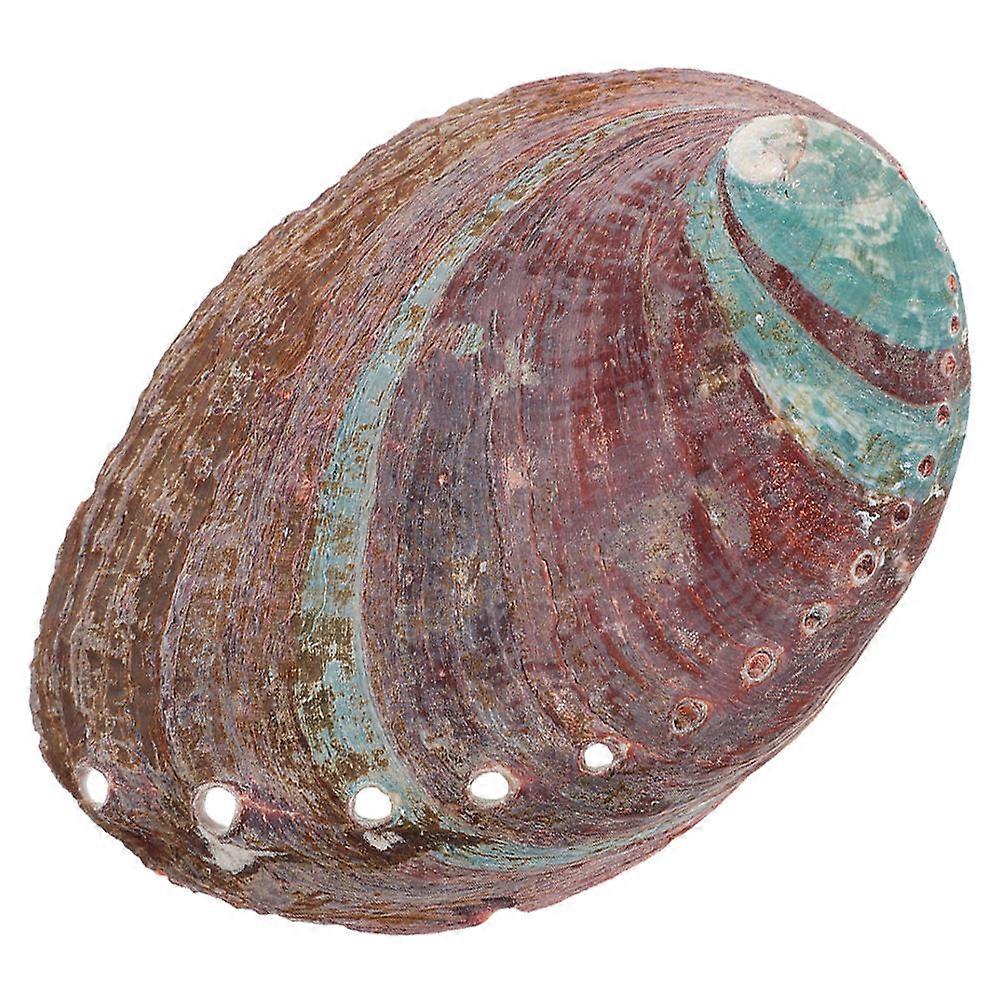 Aromatherapy Incense Diffuser Essential Oil Burner Smudging Wax Melt Holder Natural Seashell Bowl Censer Abalone Shell