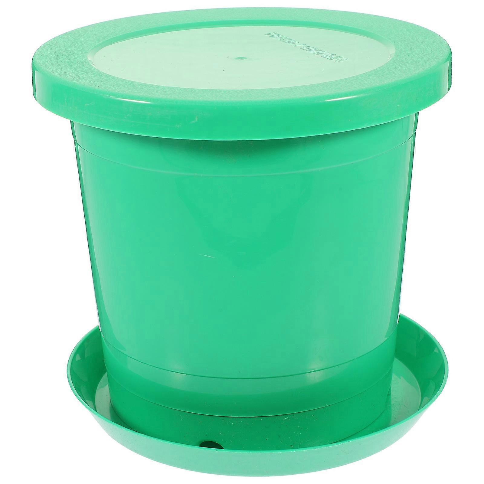 Plastic Sprouting Box for Planting Green Color Easy to Move and Reuse 7533517