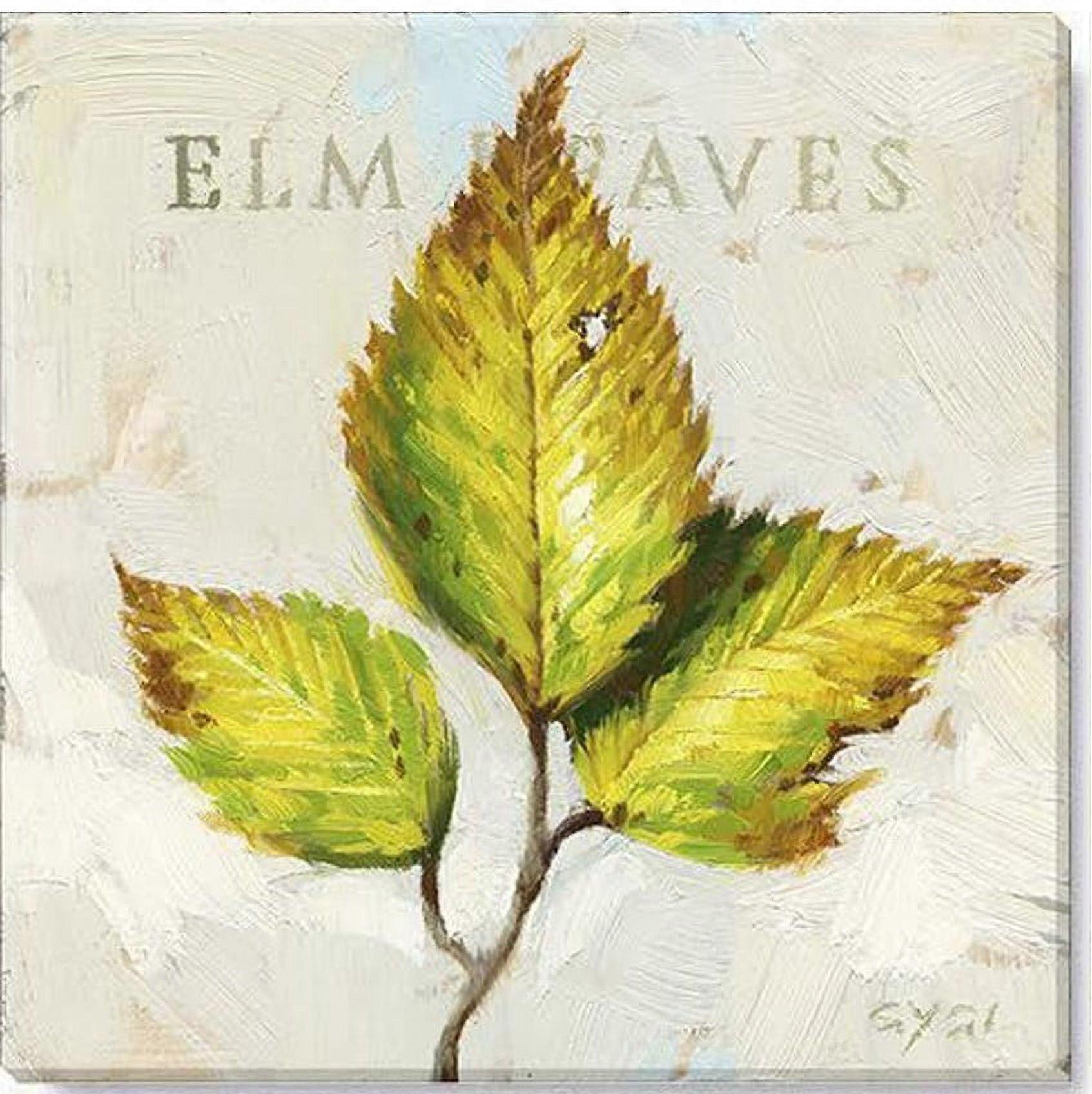 Elm Leaves Canvas, Museum Quality Giclee Print, G-yezhibbb948
